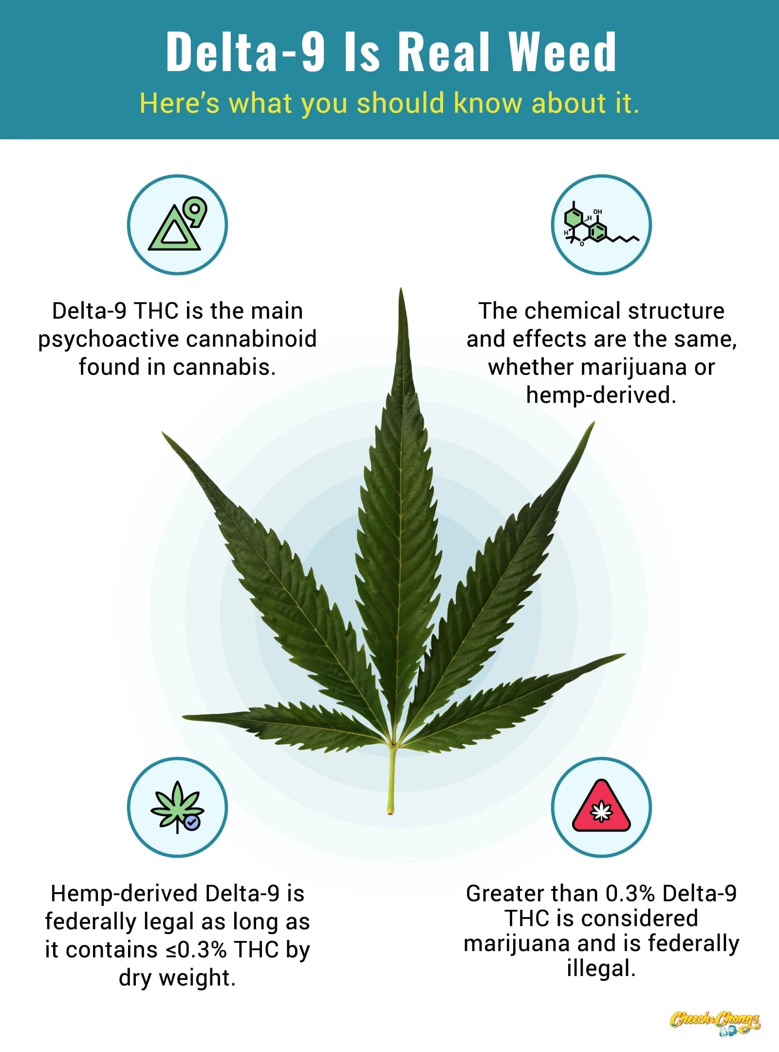 HOW TO BUY THC ONLINE SAFELY AND LEGALLY: CONSUMER GUIDE