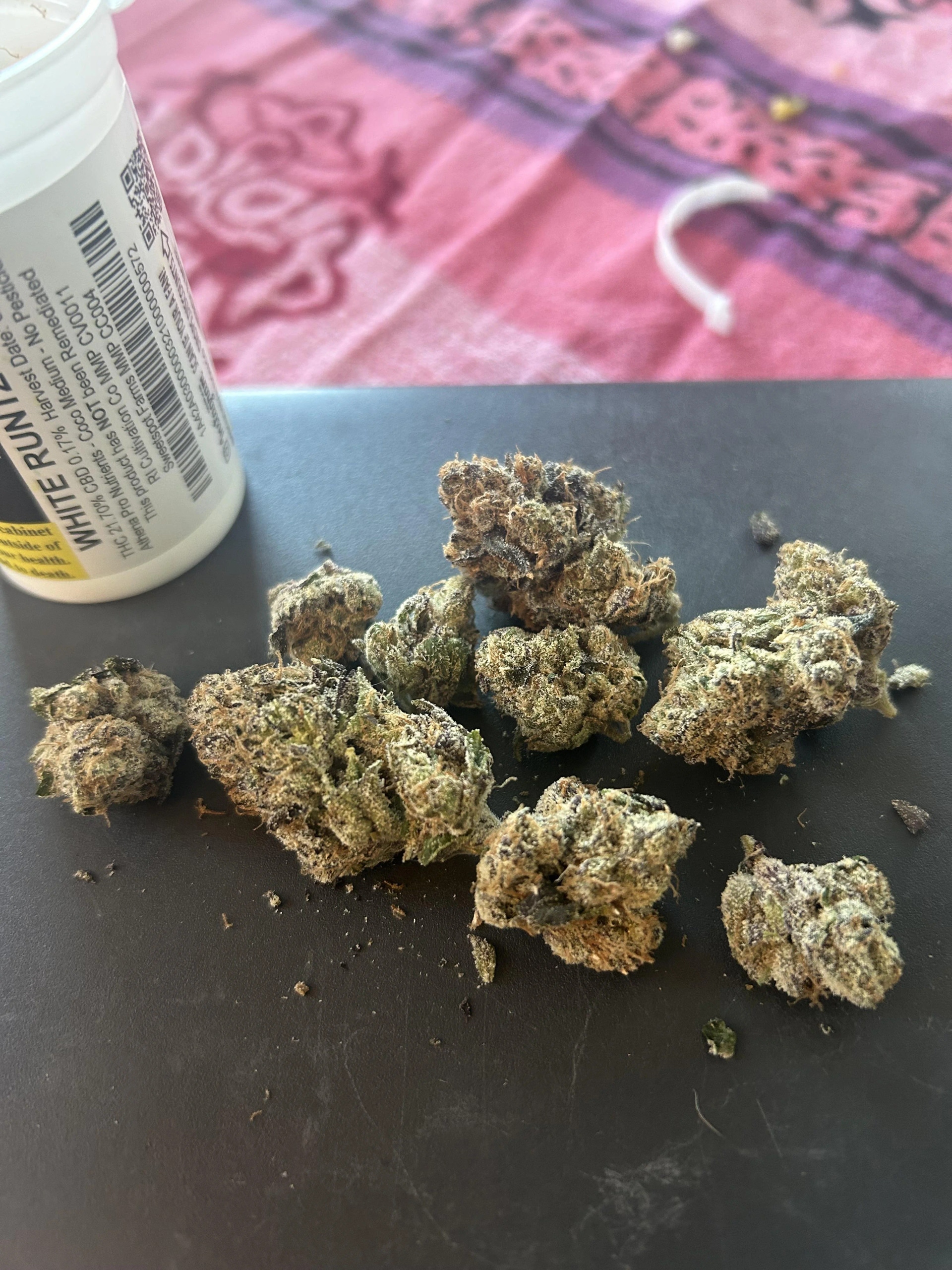 Miami runtz strain Storage Tips for Maximum Freshness