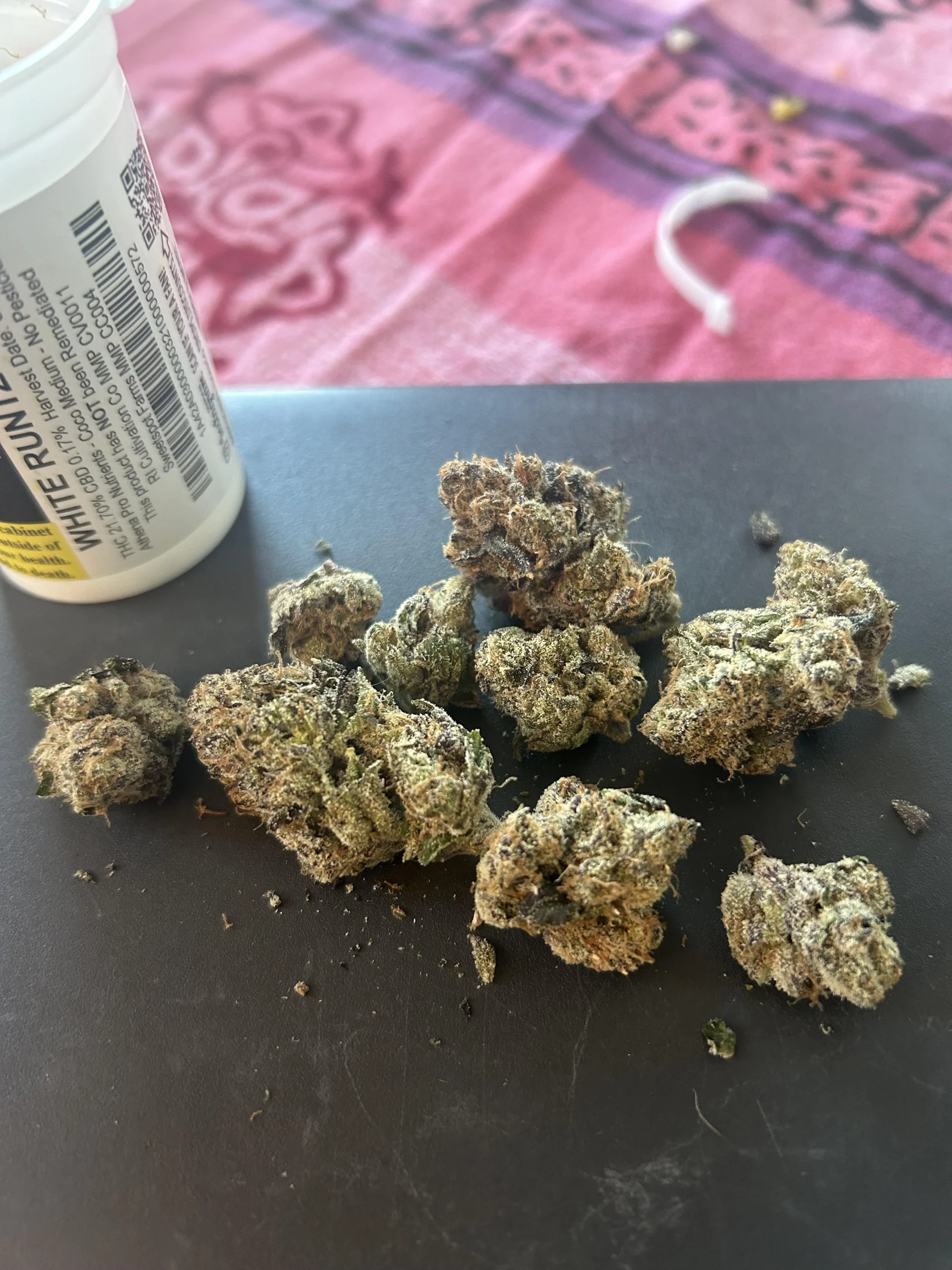 Miami runtz strain Storage Tips for Maximum Freshness